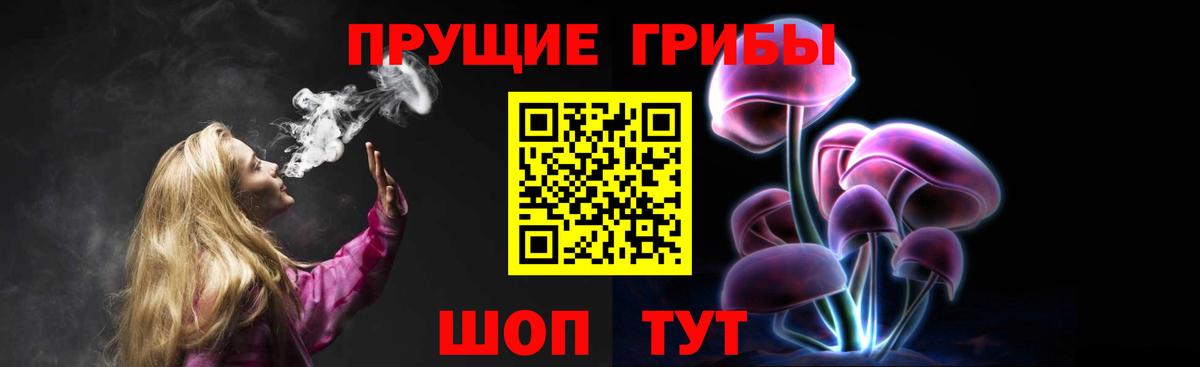 Прохладный  Галлюциногенные грибы ЛСД  Псилоцибиновые грибы ЛСД  Вход с VPN 