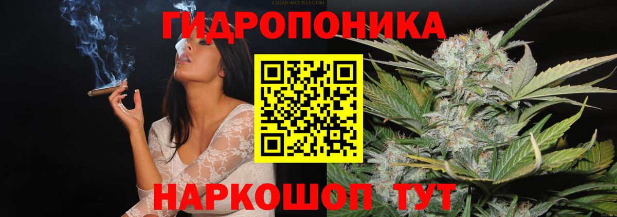 Марихуана White Widow Прохладный